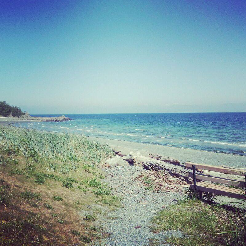 The Girl That Walked Into the Sea